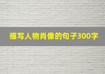 描写人物肖像的句子300字