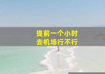 提前一个小时去机场行不行