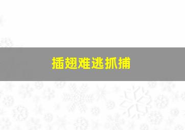 插翅难逃抓捕