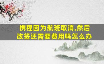 携程因为航班取消,然后改签还需要费用吗怎么办