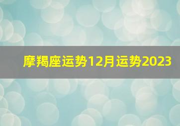 摩羯座运势12月运势2023