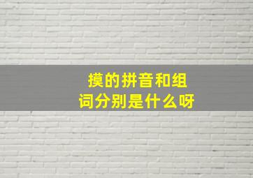 摸的拼音和组词分别是什么呀