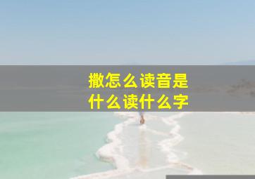 撒怎么读音是什么读什么字