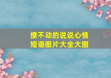 撩不动的说说心情短语图片大全大图