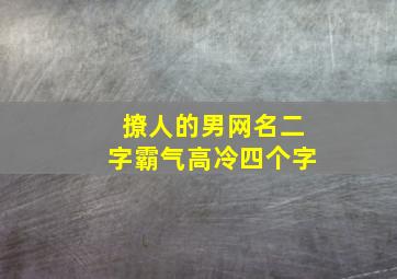 撩人的男网名二字霸气高冷四个字