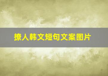 撩人韩文短句文案图片