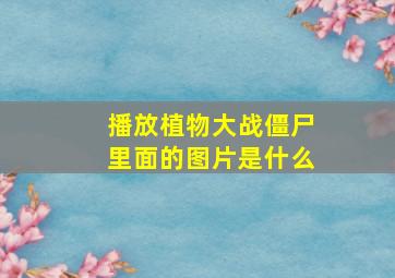 播放植物大战僵尸里面的图片是什么