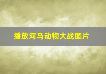 播放河马动物大战图片