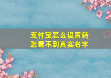 支付宝怎么设置转账看不到真实名字