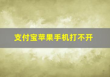 支付宝苹果手机打不开