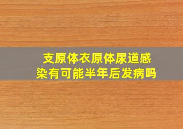 支原体衣原体尿道感染有可能半年后发病吗