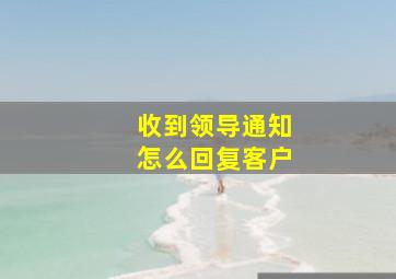 收到领导通知怎么回复客户