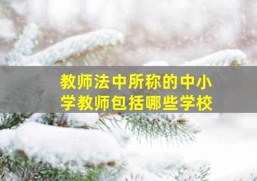 教师法中所称的中小学教师包括哪些学校