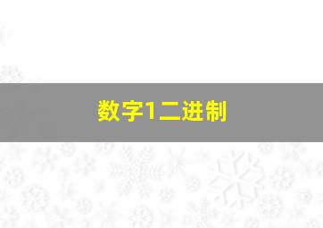 数字1二进制