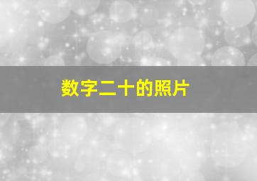 数字二十的照片