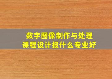 数字图像制作与处理课程设计报什么专业好