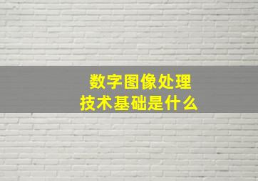 数字图像处理技术基础是什么