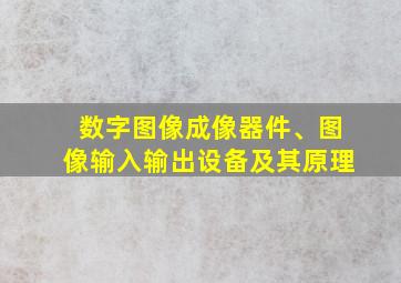 数字图像成像器件、图像输入输出设备及其原理