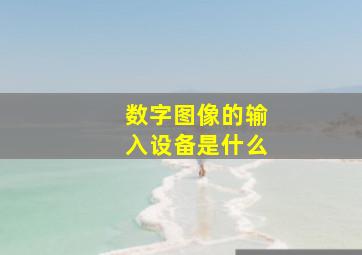 数字图像的输入设备是什么