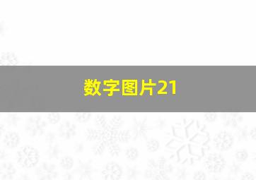 数字图片21