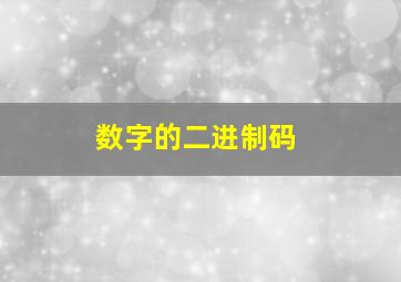 数字的二进制码