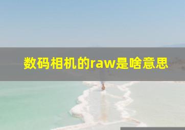 数码相机的raw是啥意思