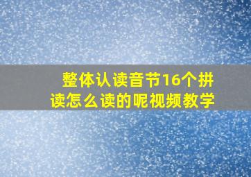 整体认读音节16个拼读怎么读的呢视频教学