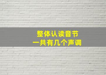 整体认读音节一共有几个声调