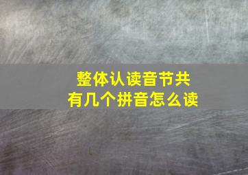 整体认读音节共有几个拼音怎么读