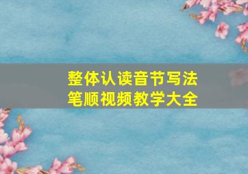 整体认读音节写法笔顺视频教学大全