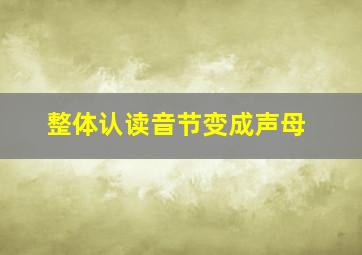 整体认读音节变成声母