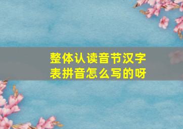 整体认读音节汉字表拼音怎么写的呀