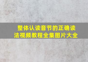 整体认读音节的正确读法视频教程全集图片大全