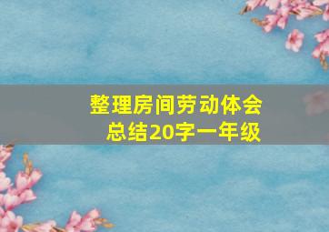 整理房间劳动体会总结20字一年级