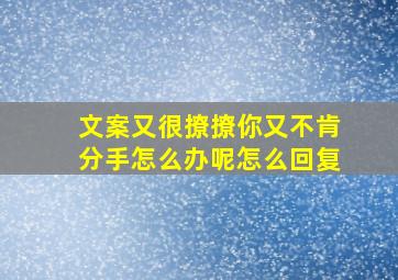 文案又很撩撩你又不肯分手怎么办呢怎么回复