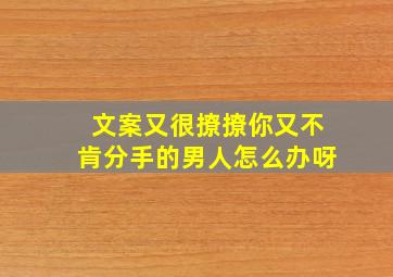 文案又很撩撩你又不肯分手的男人怎么办呀