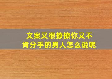 文案又很撩撩你又不肯分手的男人怎么说呢