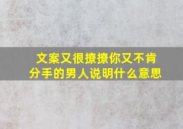 文案又很撩撩你又不肯分手的男人说明什么意思