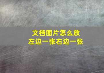 文档图片怎么放左边一张右边一张