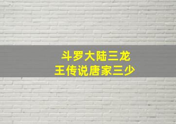 斗罗大陆三龙王传说唐家三少