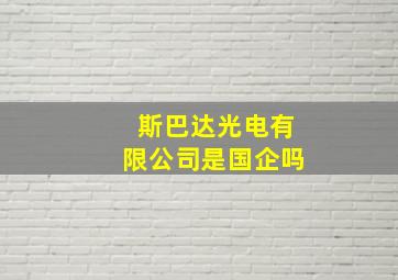 斯巴达光电有限公司是国企吗