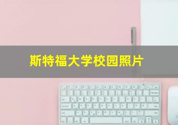 斯特福大学校园照片