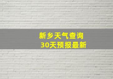 新乡天气查询30天预报最新