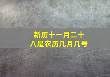 新历十一月二十八是农历几月几号