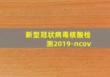 新型冠状病毒核酸检测2019-ncov