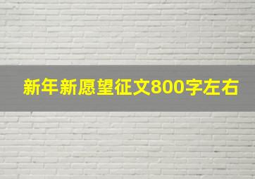 新年新愿望征文800字左右