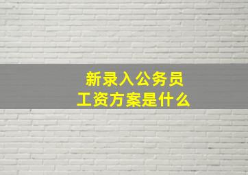 新录入公务员工资方案是什么