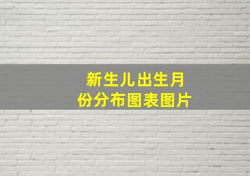 新生儿出生月份分布图表图片