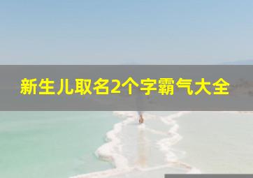 新生儿取名2个字霸气大全