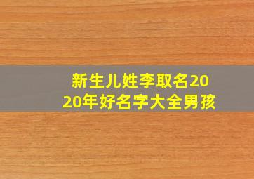 新生儿姓李取名2020年好名字大全男孩